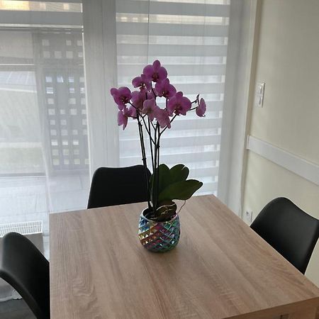 Apartament „Dwie Wieze” Apartman Katowice Kültér fotó