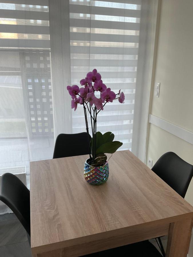 Apartament „Dwie Wieze” Apartman Katowice Kültér fotó